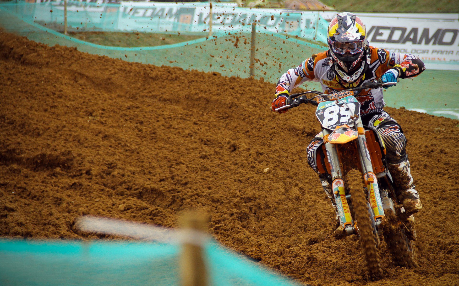 凯蒂·莱德基赛后谈挑战与突破，凯蒂·莱德基赛程