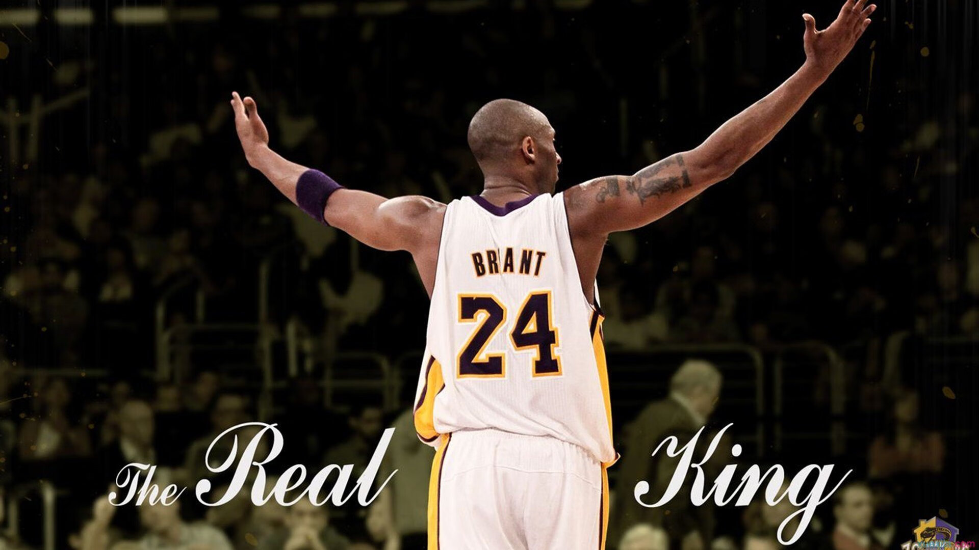 _库里三分再现神奇，勇士逆袭热火_，勇士库里53分实录