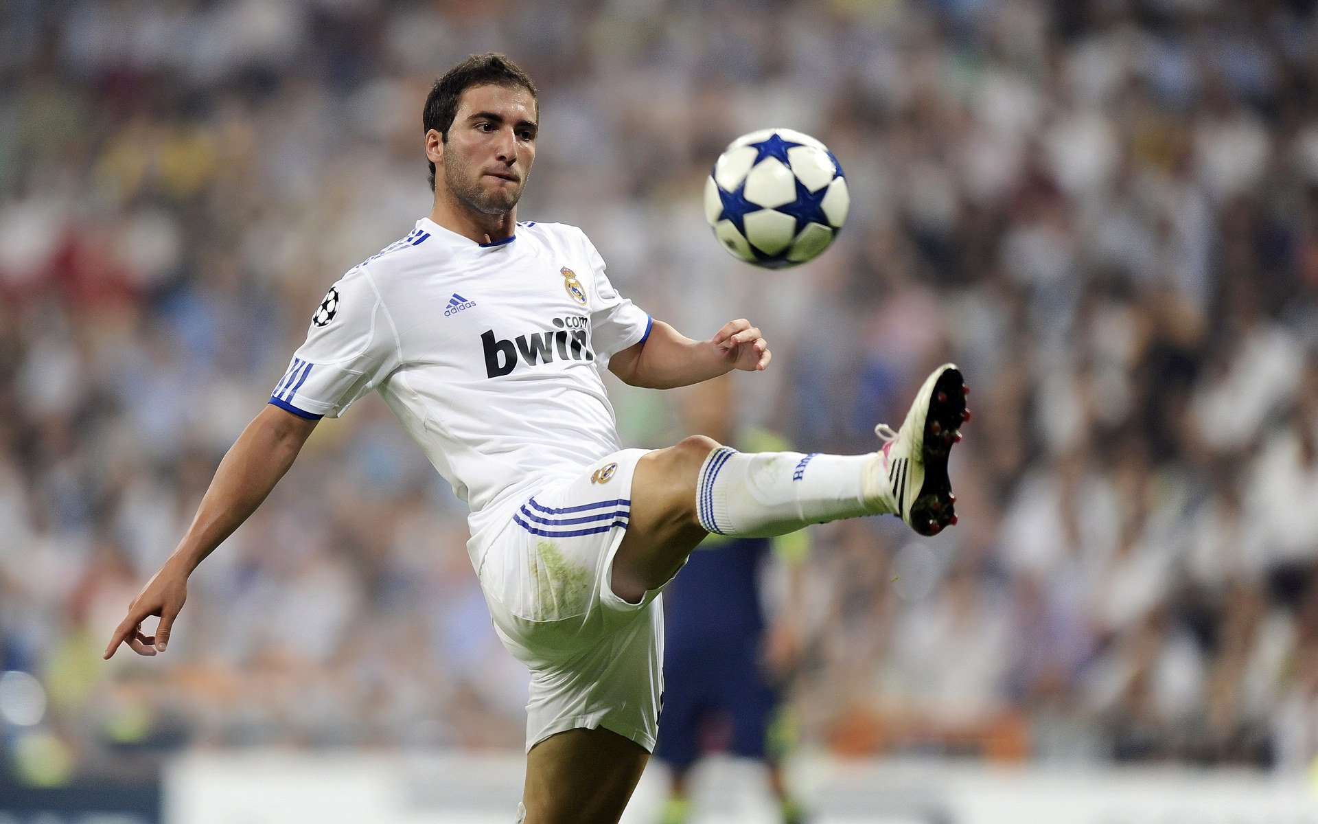 【赛事组织】从现场到线上，全渠道直播带你“云看球”，看球宝云雀直播